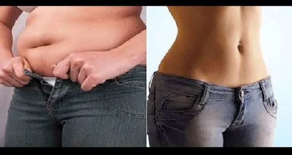 Abdominal-fat_2.webp