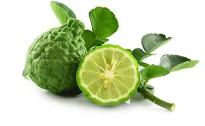 Bergamot-.webp