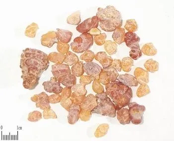 Boswellia.webp