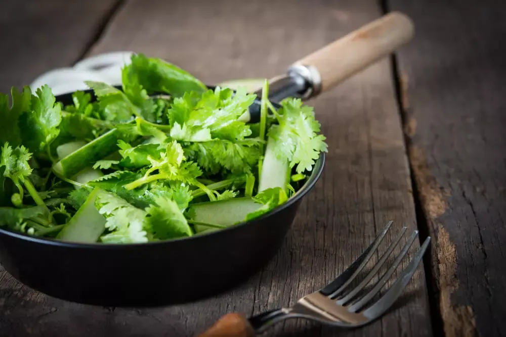 Coriander_fresh-salad-cucumber.webp