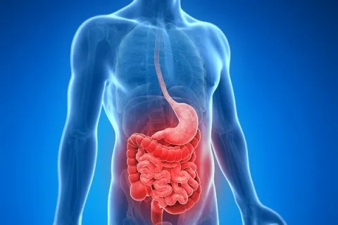 Crohn’s-disease_4.webp