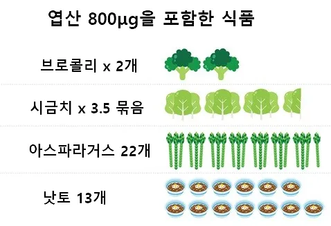 Folic-acid-containing-levels.webp