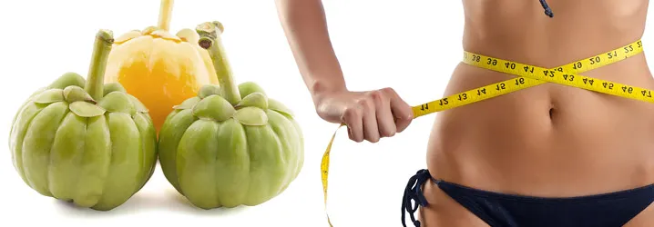 Garcinia-Cambogia.webp