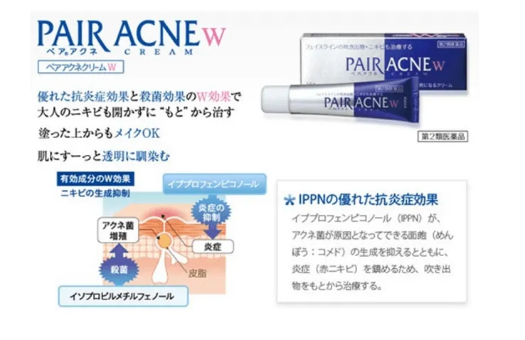 ance_japan2.webp