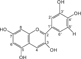 anthocyanins.webp