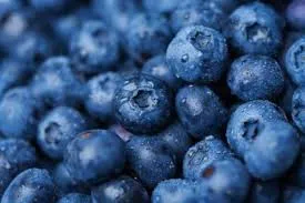 blueberry_2.webp