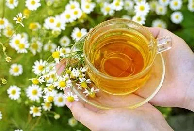 chamomile-tea.webp