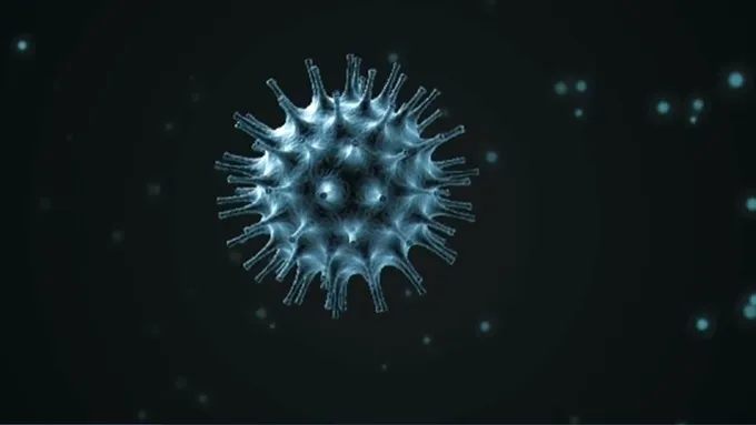 corona-virus_3.webp