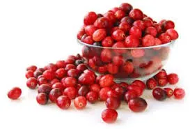 cranberry.webp