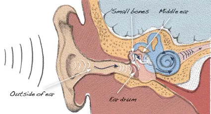 ear-sick.webp