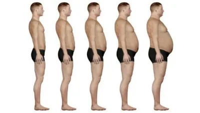 edited_human_body_fat3.webp