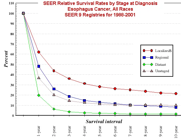 esophageal-cancer-survival-rates.webp