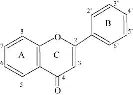 flavonoid.webp