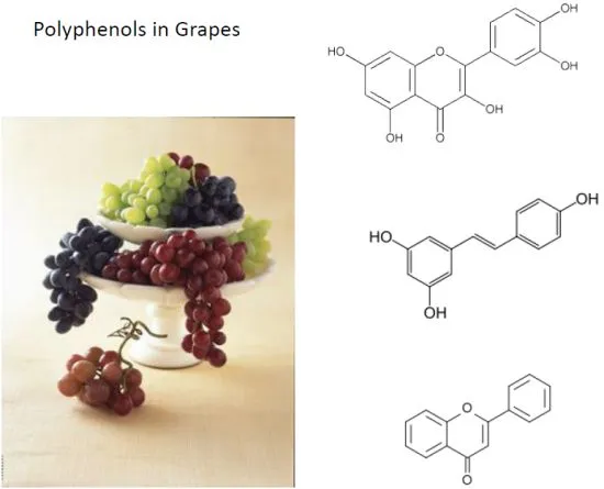 grape-nutrients-polyphenol.webp