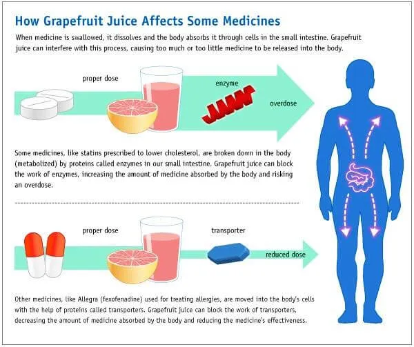 grapefruit-liver.webp