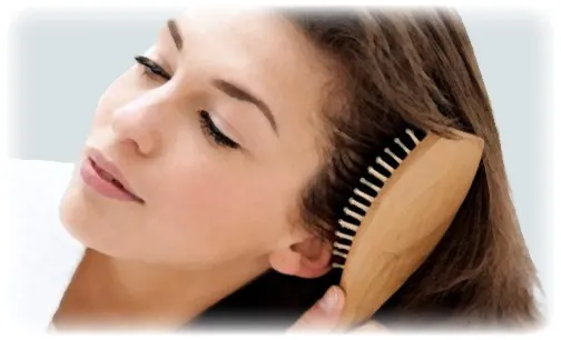 hair_brush_2.webp