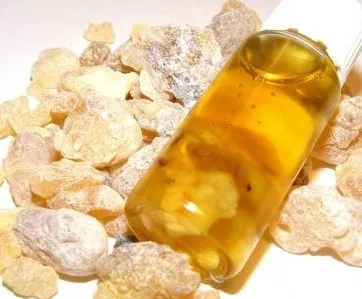 Boswellia