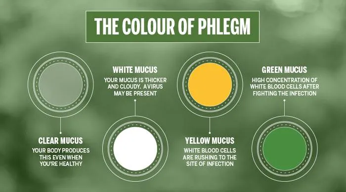 phlegm color