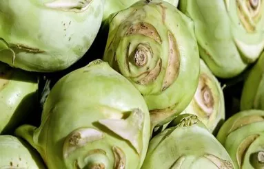 many-kohlrabi