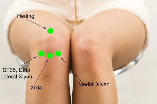 knee-acupuncture-points.webp