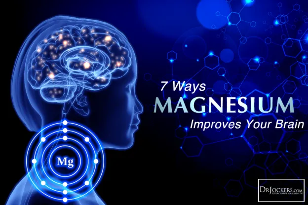 magnesium-brain.webp