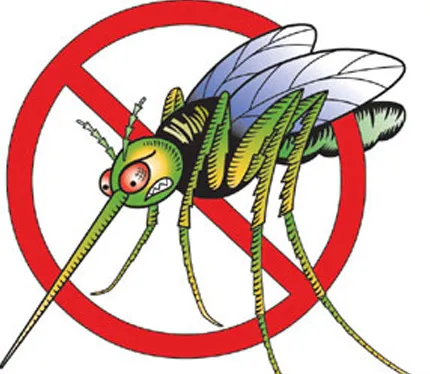 no-mosquitoes.webp