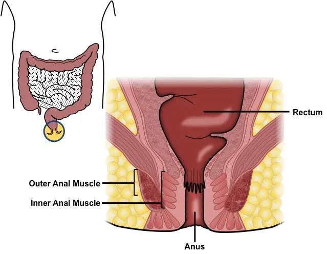 pruritus-ani_4.webp