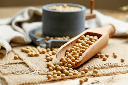 soybeans-wooden-scoop-little-stone-mill.webp